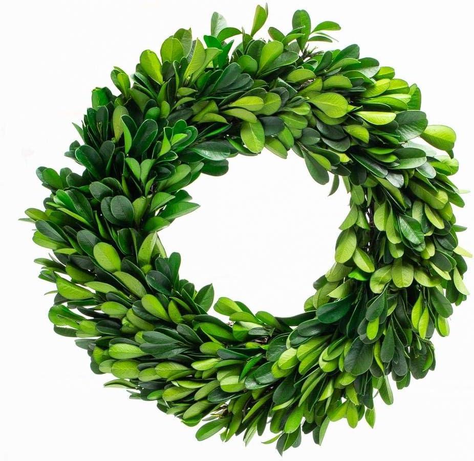 Boxwood Wreath 10 inch Preserved Nature Boxwood Wreath Home Decor Stay Fresh for Years Rustic Farmhouse Holiday Home Decor, Halloween Christmas Wreath