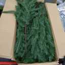 12 Pcs Artificial Norfolk Pine Branches, Norfolk Pine Artificial Pine Stems DIY Crafts Faux Christmas Greenary Norfolk Pine Branches for Xmas Wreath Garland Home Decor (12)