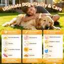 25-in-1 Dog Multivitamin Chews All-in-One Daily Vitamins & Supplements for Dogs, Joint Support with Glucosamine MSM, Omega-3 Skin & Coat, Gut, Heart & Brain, All Breeds & Ages, Chicken, 90 Ct