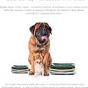 Pet Parents® Washable Belly Bands for Male Dogs (3pack) + Extendrs® of Durable Dog Diapers Male, Premium Male Dog Diapers & Dog Wraps (X-Large, Spruce)