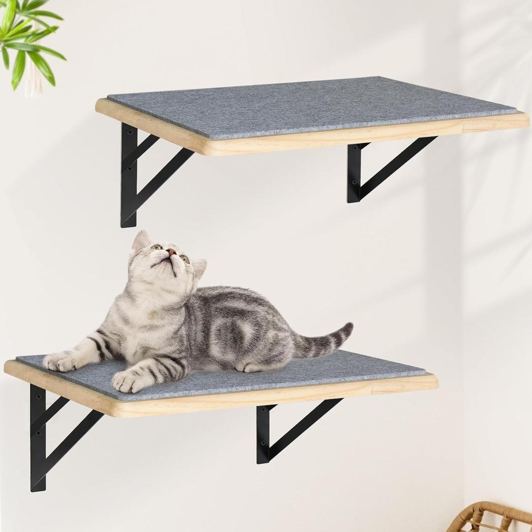 Burlywood Cat Furniture Indoor Set of 2: Wood Shelves with Scratching Pad, Climbing Shelf for Sleeping & Playing, Window Perch for Big Cats