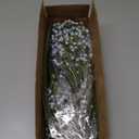 Elyum Babys Breath Artificial Flowers, 12 Pcs Long Stem Baby Breath Flowers Artificial Bulk, Real Touch Blue Fake Babys Breath Gypsophila for Wedding Bouquet Floral Arrangement Home Decor