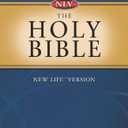 Holy Bible: New Life Version (NEW LIFE BIBLE), by Inc. Barbour Publishing (Author) 