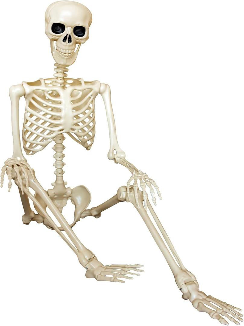 5.4Ft Life Size Halloween Skeleton Decoration - Posable Plastic Realistic Human Full Size With Movable Joints for Indoor Outdoor Decor, Haunt House