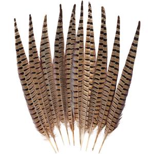 FeelfunFeather 10pcs Pheasant Feather 16-18inch 40-45cm Natural Male Ringneck Tails Feathers for DIY Crafts Home Wedding Party Carnival Decoration