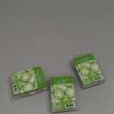 Scentsationals Wax Melts, Wax Cubes Strong Scent - Cucumber Melon - Long Lasting Scented Melts for Warmer, 10 oz (24-Cubes)