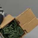 Hananona Artificial Pine Branches,40 Pcs Christmas Faux Cedar Stems, Artificial Faux Cedar Branches, Fake Christmas Greenery Pine Picks for Wreath Craft DIY Home Kitchen Decorations (40, Green)