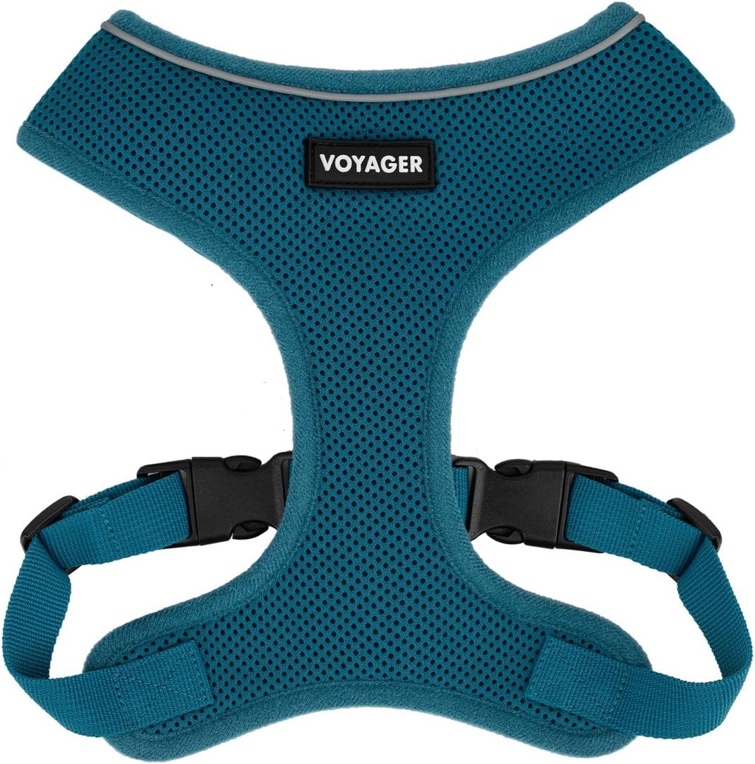 Best Pet Supplies Voyager Aerolite No Pull Mesh Dog Harness, Reflective Stitching, Breathable Harness, Adjustable for Walking, Training, Running, Heavy Duty and Durable, Turquoise, L (L (Chest: 20 - 25"))