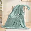 Electric Blanket Throw - Soft Checked Flannel with 6 Heating Levels, 4 Hours Auto-Off, Fast Heating, ETL & FCC Certified, Overheating Protection, Cozy Heated Blanket Throw (Green, 50"X60")