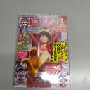 ONE PIECE Magazine Vol.20 Japanese Original Version