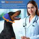 Dog Ear Muffs & Swim Cap and No Shake Ear Wrap for Bathing, Hematoma, Drying & Noise Anxiety Relief - Elastic Waterproof Ear Protection with Calming Hoodie for Grooming (Small, Blue)