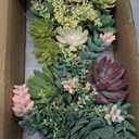 Artificial Succulent in Ceramic Pots, 2 Packs Large Faux Fake Plants Navy Blue for Desk,Office, Bedroom, Living Room, Bathroom Office Shelf Home Dcor