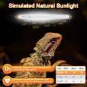 UVB Light for Reptiles Bearded Dragon, 2 Pack T5 UVB Reptile Light UVB Bulb 10.0 8W UVA UVB Reptile Light Bulb Terrarium Light Lamp Tube for Turtle Chameleon Leopard Gecko Snake Tank, 12 Inch