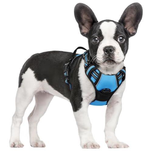 rabbitgoo Dog Harness No Pull with 2 Leash Clips, Adjustable Soft Padded, Reflective Oxford No Choke Pet Vest with Easy Control Handle for Small Dogs, Blue, S