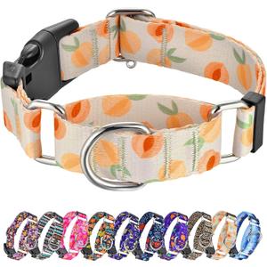 Hikiko Martingale Collar for Dogs Peach Dog Collar for Small Medium Large Dogs Cute Holiday Summer Dog Collars Pet Gift (Peach,Medium)