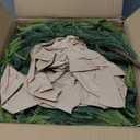 N&T NIETING 2 PCS Christmas Norfolk Pine Garland, Real Touch Pine Garlands Faux Greenery Garland Winter Christmas Garland for Table Mantle Fireplace Holiday Indoor Outdoor Xmas Decorations (6 FT)