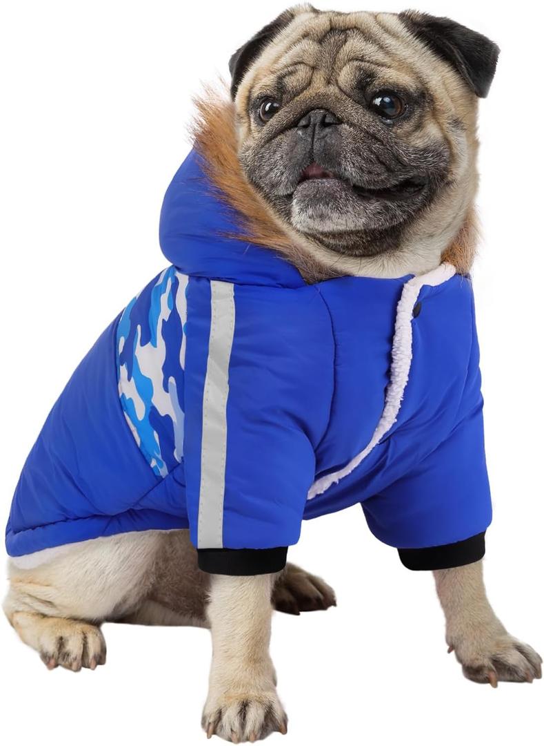 Queenmore Warm Dog Winter Coat, Cold Weather Waterproof Dog Snow Jacket, Reflective Dogs Hoodie with Long Sleeves for Small Medium and Large Dogs (RoyalBlue)