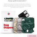 Pet Parents Washable Dog Diapers (3pack) + Extendrs of Durable Doggie Diapers, Premium Dog Diapers Female (Small, Spruce)