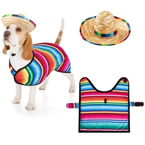Dog Mexican Party Costume Pet Dog Cinco De Mayo Poncho and Sombrero (Green S)