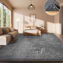 Ophanie Area Rugs for Living Room Bedroom, Washable Non-Slip Fluffy Soft Grey Shag Carpet, Indoor Floor Gray 4x6 Fuzzy Shaggy Living Room Plush Rug for Kids Home Dorm Decor Aesthetic