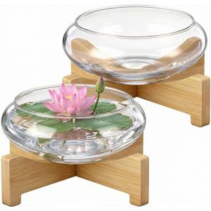 Baderke 2 Pcs Lotus Bowl Planter with Base 5.9 inch Glass Hydroponic Planter Water Lily Bowl for Planting Aquatic and Indoor Plants Clear Terrarium Household Basin Decor