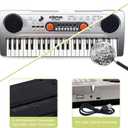 Raimy Piano Keyboard for Kids 49 Keys Portable Keyboard Piano Early Learning Educational Electronic Musical Instrument Toys Gifts for 3 4 5 6 7 8 9 Year Old Boys and Girls (Silver)