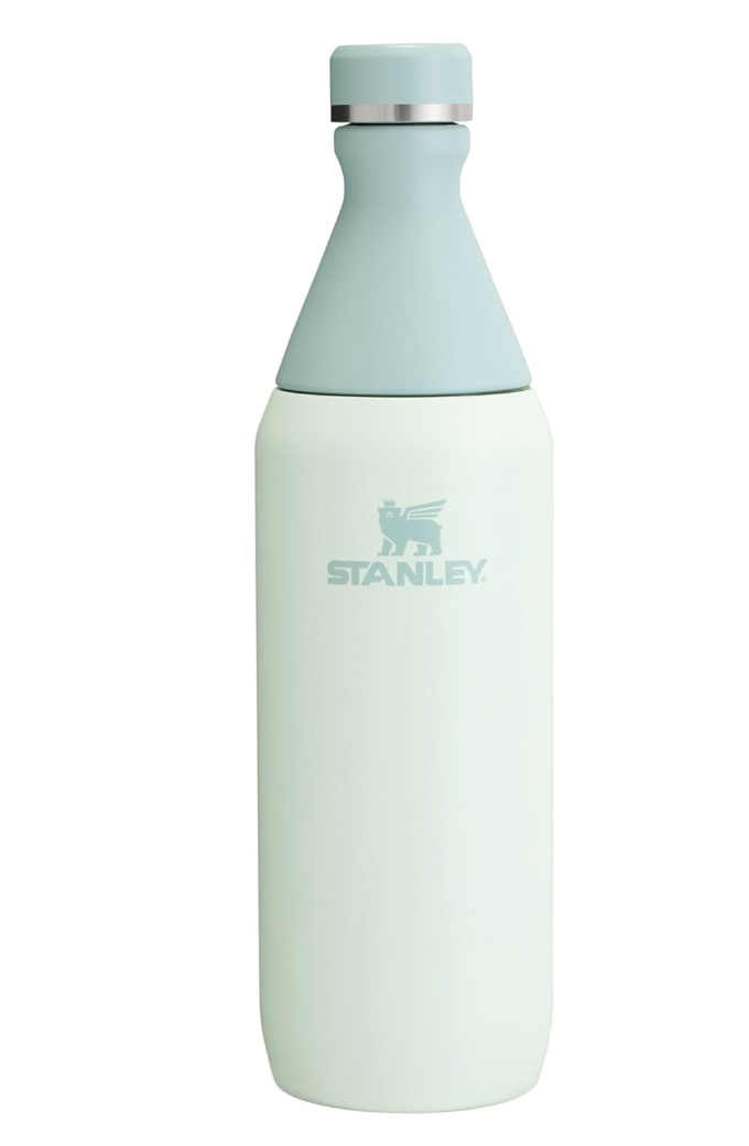 Stanley All Day Slim Bottle 20 oz | Twist On Lid with Leakproof Seal | Slim Design for Travel & Gym | Insulated Stainless Steel | BPA-Free |