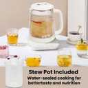 Double-Layer Electric Kettle1.5L with Stew Pot,Glass Health Pot, 9-in-1 Glass Tea Maker, Programmable Touch Panel, Stainless Steel Base for Soup, Porridge, Herbal Tea