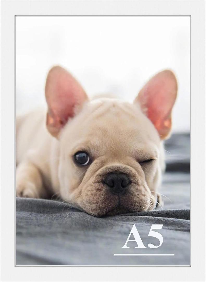 RUN HELIX A5 Picture Frame, Wall Gallery Photo Frames,Stable and Sturdy White Frame with High Definition Plexiglass,A5 Poster Photo Frame,Horizontal and Vertical Formats for Wall Hanging, White