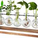 CFMOUR Plant Terrarium with Wooden Stand, Desktop Propagation Stations Glass Air Planter Metal Swivel Holder for Indoor Live Hydroponics Plants Office Home Garden Decor (5 Bulb Vase)