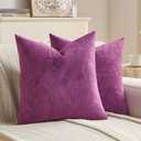 FUTEI Pack of 2 Velvet Throw Pillow Covers 22x22 Inch, Purple