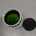 Upgrade Camera Disguise Vase Compatible with Ring Indoor 2nd Gen Camera, Includes Fake Plant