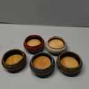 Cute Ceramic Succulent Garden Pots, Planter with Drainage and Attached Saucer, Set of 5 -Plants Not Included (Burner)