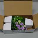 Der Rose 4 Pack Small Fake Plants Mini Artificial Faux Plants Indoor with Flowers Spring Decorations for Home Room Farmhouse Desk House Bathroom Decor