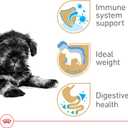 Royal Canin Breed Health Nutrition Miniature Schnauzer Puppy Dry Dog Food, 2.5 lb Bag (EXP 04/16/26)