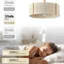 20'' Gold Boho Rattan Fandelier Ceiling Fan with Light and Remote Control, Medium
