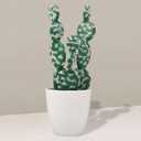 OULIGET Artificial Cactus Faux Plant,Lifelike Small Fake Plants Succulents Plant,Potted Plastic Succulents for Home Office Living Room Desk Decor Aesthetic,8 Inches