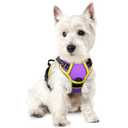 rabbitgoo Dog Harness No Pull with 2 Leash Clips, Adjustable Soft Padded, Reflective Oxford No Choke Pet Vest with Easy Control Handle for Puppy, Purple & Yellow, XS