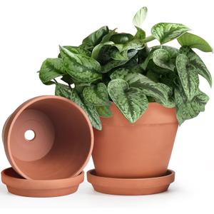 INGOFIN Terracotta Pots Set with Saucer - 2-Pack Ceramic Clay Planters with Drainage Hole, Garden Flower Succulent Pots with Tray for Indoor Outdoor Plants, 8 inch, Set of 2, 8/8 inch -2 pcs