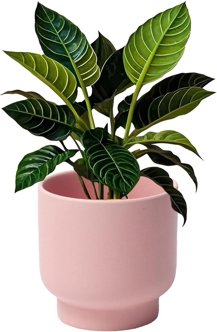 LB Pink Ceramic Plant Pots for Indoor Plants, Succulent Planters Ceramic Plant Pot, Cute Flower Pots for Living Room Office Home Decor, Round Flower Pot of 4.3 Inch(Plant Not Included)