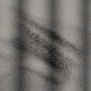 Amazon Essentials Girls and Toddlers' Cropped Full-Zip Puffer Jacket, Sherpa Fleece (X-Large, Light Beige)