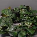 22-24" Eucalyptus Wreaths for Front Door,Spring Summer Fall Autumn Winter Wreaths,Large Eucalyptus Greenery Wreath with Olive Leaves Berries for Front Door Outdoor Farmhouse Decor All Seasons, Pack of 2