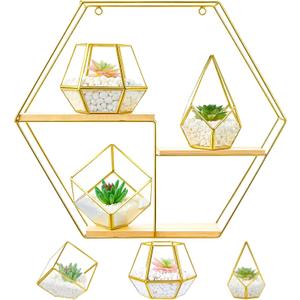 CroBlissful Hexagonal Decorative Metal Wall Shelves Include 3 Pcs Small Open Terrarium Planter Hexagonal Floating Wall Mounted Shelves for Bedroom Living Room Hallway Office Decor