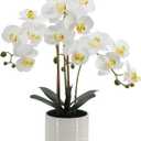 Artificial Orchid Flowers Fake Phalaenopsis Plant in Pot, 23" Tall Faux Orchids for Home Decor Indoor, Lifelike Silk Flowers for Centerpieces Office Arrangement-White