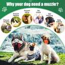 Shinylin 6 Sizes Dog Muzzle, Basket Air Mesh Muzzles Breathable Adjustable Full Coverage Dog Muzzle Cover for Small Medium Large Dogs, Anti Biting Barking Chewing(Snap Fastener)