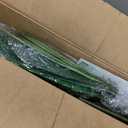 Yepdin Artificial Bird of Paradise Plant 5 Ft Tall Fake Banana Leaf Plant for Indoors and Outdoors,Faux Palm Tree with Plastic Pot for Office and Home Decor,L160
