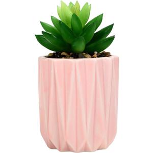 Succulent Plant Pots Ceramic Plant Pots and Drainage Hole Bonsai Planter Small Flower Pots for Indoor Outdoor Use for Home Office Garden Decoration, Plants Not Included(Pink, 2 Packs)