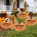 4 Pcs Fall Pumpkin Plastic Yard Sign, 15.7 x 13 in Garden Stakes