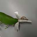 Ling's Moment Boutonniere for Men, 10pcs Groomsmen Guest Boutonniere, Artificial Flowers for Wedding Décor/Prom/Homecoming,etc.White Greenery Berry