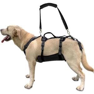 Coodeo Dog Lift Harness, Support & Recovery Sling, Pet Rehabilitation Lifts Vest Adjustable Breathable Straps for Old, Disabled, Joint Injuries, Arthritis, Paralysis Dogs Walk (Black, L)